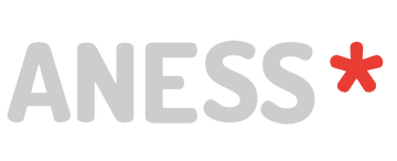 anessworks.xyz